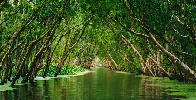Photo by diGital Sennin on Unsplash