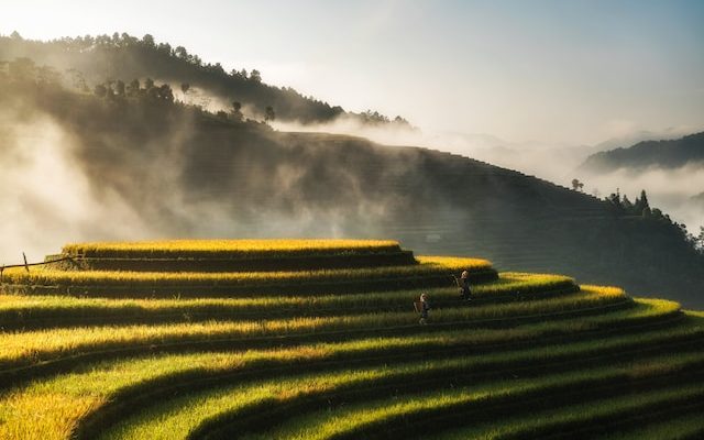 Photo by diGital Sennin on Unsplash
