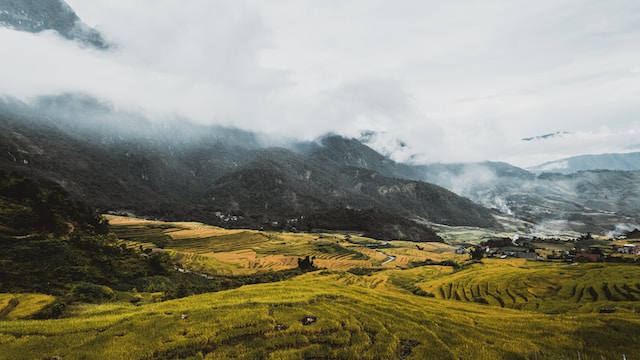 Photo by Lê Tân on Unsplash