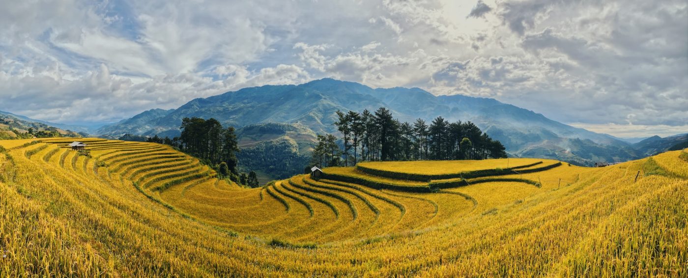Photo by Steve Le on Unsplash