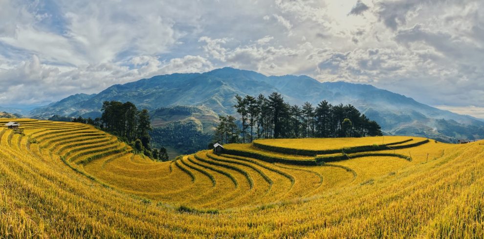 Photo by Steve Le on Unsplash