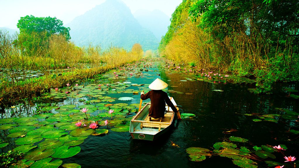vietnam classic tour cat