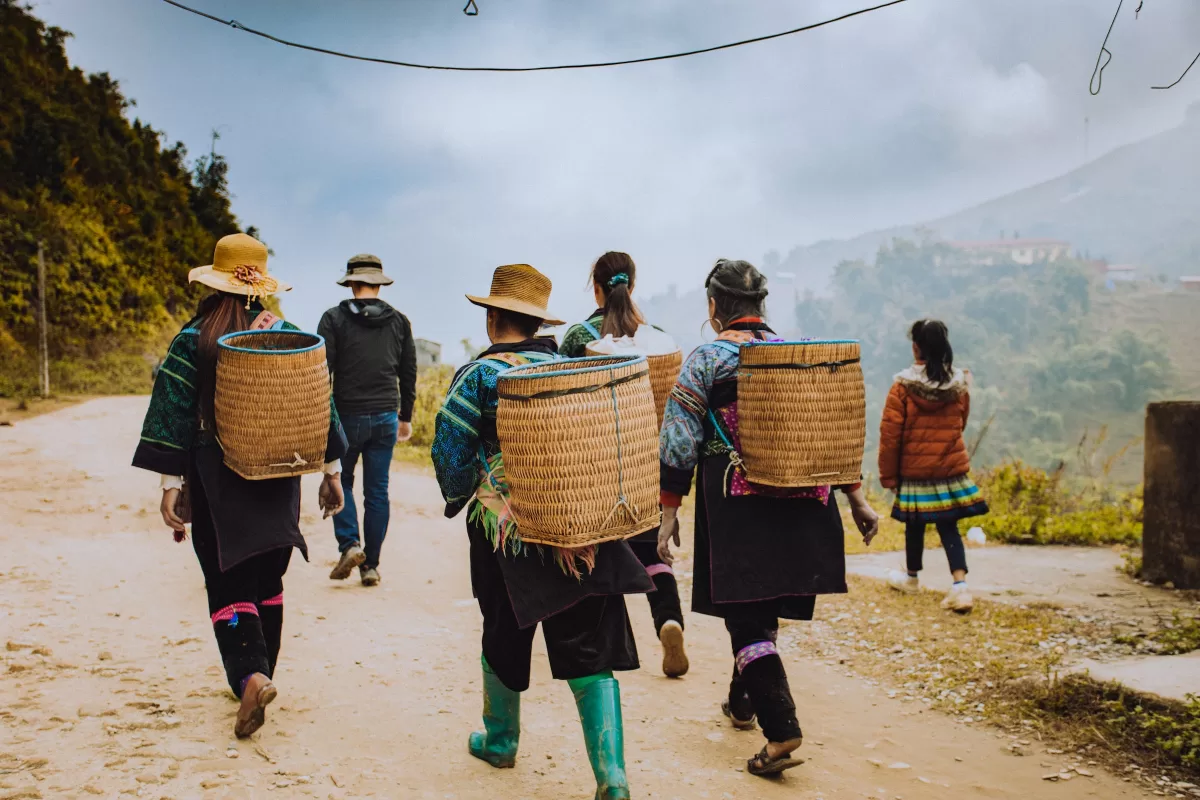 sapa weather
